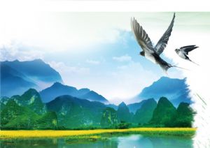 聚焦高考&mdash;&mdash;綠水青山，我們押中了！