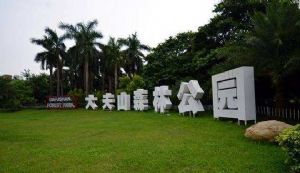 放飛自我 擁抱自然｜我們與大夫山有個美好的邂逅！