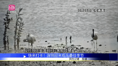 07fa5bb275e875f694f1908d6ad59f00.gif 001.gif