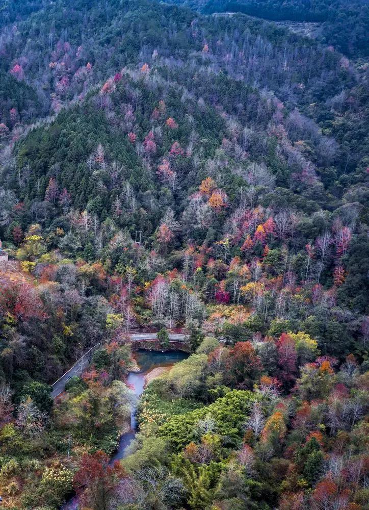 2978fb862fca51b50a6dc5c1448cc9bc.jpg 002.jpg