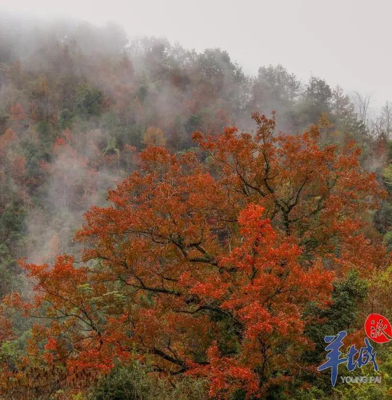 f3f4e9c1db697fbabffdda0ed06c540d.jpg 008.jpg