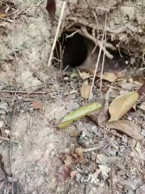 528be39464edeaf6a68fceb1eea25d1a.jpg 002.jpg