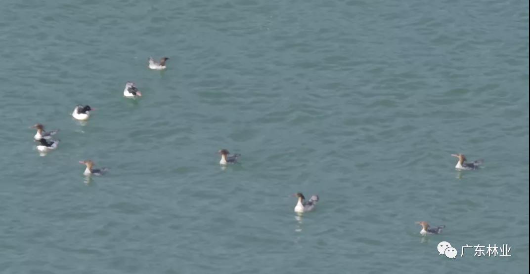 880a65a5ee4180e91a0d671b9394d03f.jpg 002.jpg