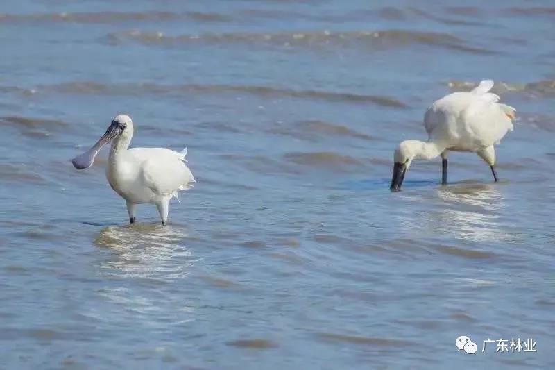 a855100bbf5099af33f6d5a710521e99.jpg 003.jpg