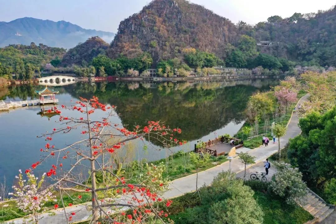 肇慶發(fā)布第1號(hào)林長(zhǎng)令