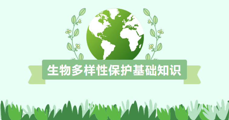 生物多樣性保護(hù)基礎(chǔ)知識(shí)