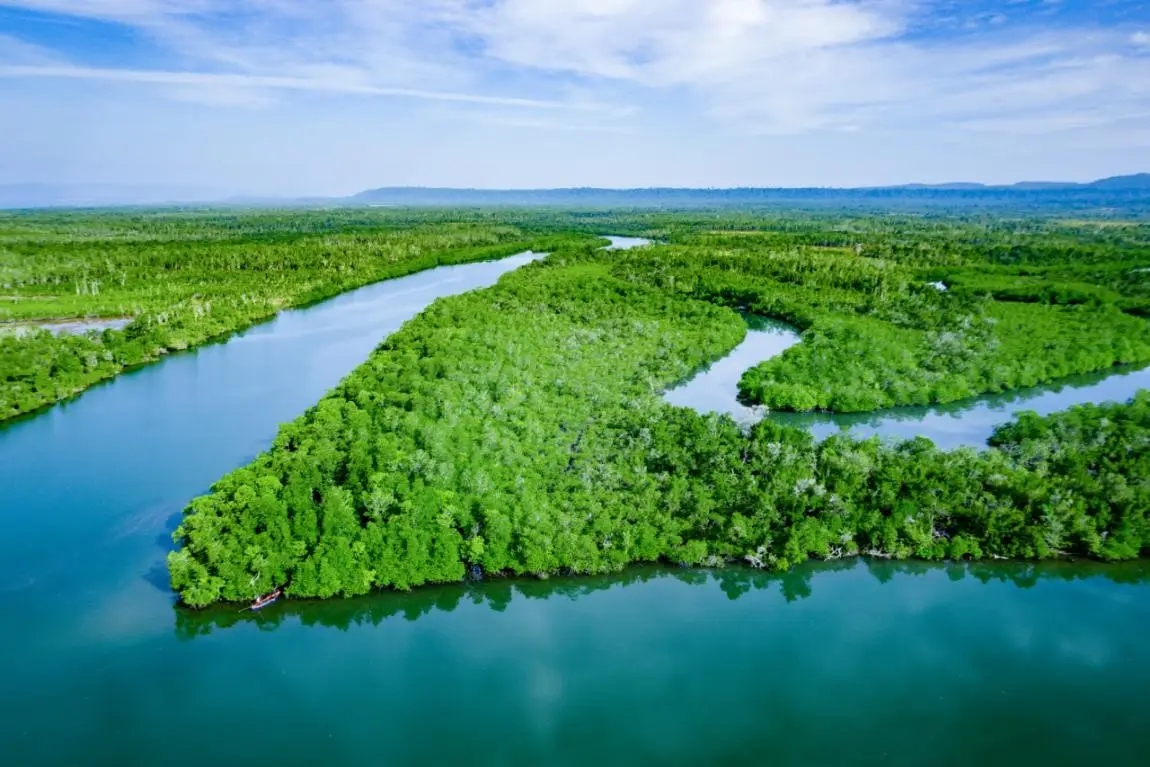 2021年中國(guó)自然保護(hù)地十件大事