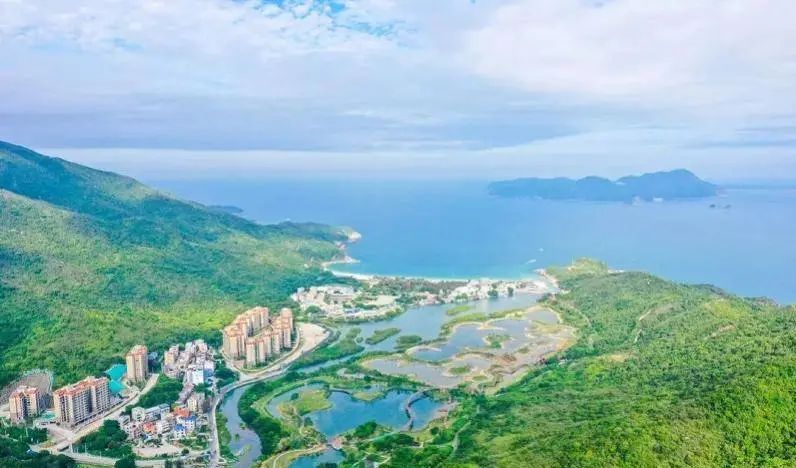 即將對(duì)外開(kāi)放！深圳大鵬新建一紅樹(shù)林濕地公園