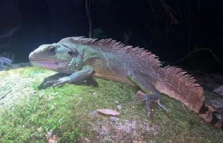 1b7e9eba9462115f6a0ff89f2e57bc33.jpg 001.jpg