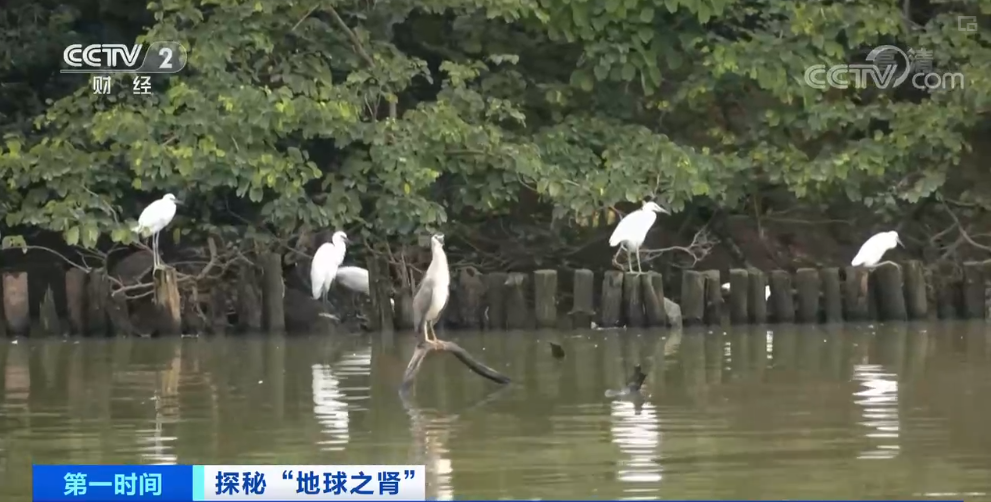 07417b0124424b60dd0418dec131fbd5.png 001.png