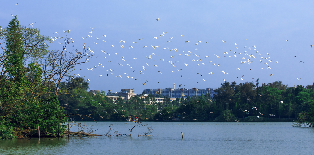 5cc19bef649a78f03cd292684bdf4351.png 007.png